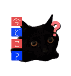 竹中家の愉快な仲間たち2（個別スタンプ：27）