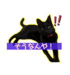 竹中家の愉快な仲間たち2（個別スタンプ：29）