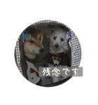 竹中家の愉快な仲間たち2（個別スタンプ：30）