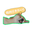 竹中家の愉快な仲間たち2（個別スタンプ：31）