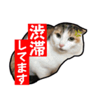 竹中家の愉快な仲間たち2（個別スタンプ：32）