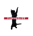 竹中家の愉快な仲間たち2（個別スタンプ：34）