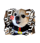 竹中家の愉快な仲間たち2（個別スタンプ：35）