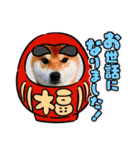 竹中家の愉快な仲間たち2（個別スタンプ：38）