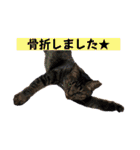 竹中家の愉快な仲間たち2（個別スタンプ：39）