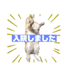 竹中家の愉快な仲間たち2（個別スタンプ：40）