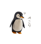 ぬいぐるみフレンズ（ペンギン）（個別スタンプ：12）
