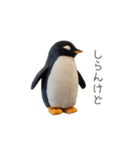 ぬいぐるみフレンズ（ペンギン）（個別スタンプ：19）