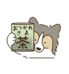 毎日シェルティ（個別スタンプ：13）