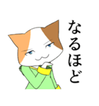 魔法使いの三毛猫さん（個別スタンプ：6）