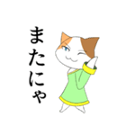 魔法使いの三毛猫さん（個別スタンプ：20）