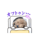 愛犬レオスタンプ（個別スタンプ：4）