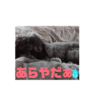 可愛いクリシェ2024.6（個別スタンプ：12）