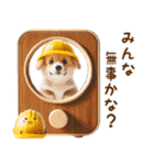 コーギーで雨の日が好きになるスタンプ（個別スタンプ：27）