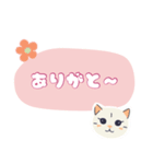 動物シリーズ―猫（個別スタンプ：2）