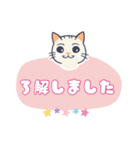 動物シリーズ―猫（個別スタンプ：16）