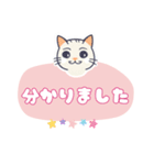 動物シリーズ―猫（個別スタンプ：19）