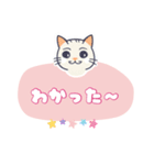 動物シリーズ―猫（個別スタンプ：20）