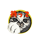 CAT_NUTs（個別スタンプ：3）