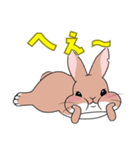 ふぅじぃみぃのん うさぎハウス Vol.01（個別スタンプ：17）