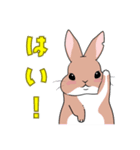 ふぅじぃみぃのん うさぎハウス Vol.01（個別スタンプ：26）