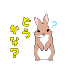 ふぅじぃみぃのん うさぎハウス Vol.01（個別スタンプ：36）