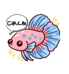 癒し系うちのベタちゃんLINEスタンプ③（個別スタンプ：1）