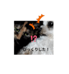 まるとあずきちゃん（個別スタンプ：3）