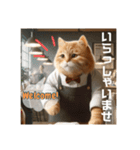 THE CAT-He is a barista（個別スタンプ：7）