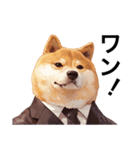 会社の犬【雄の社畜犬】（個別スタンプ：1）