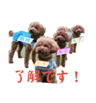 マルプーのモブ4（個別スタンプ：12）