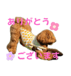 マルプーのモブ4（個別スタンプ：14）