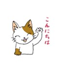 ほうせんか猫の部屋 猫イラストスタンプ1（個別スタンプ：34）