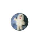 くもみさん（個別スタンプ：4）