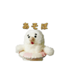 くもみさん（個別スタンプ：5）