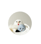 くもみさん（個別スタンプ：7）