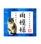 野良猫山田、梅雨から夏のことば（個別スタンプ：3）