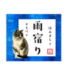 野良猫山田、梅雨から夏のことば（個別スタンプ：4）