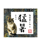 野良猫山田、梅雨から夏のことば（個別スタンプ：34）