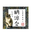 野良猫山田、梅雨から夏のことば（個別スタンプ：38）