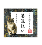 野良猫山田、梅雨から夏のことば（個別スタンプ：39）