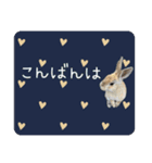 島のうさぎ（個別スタンプ：3）