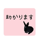 島のうさぎ（個別スタンプ：6）