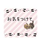 島のうさぎ（個別スタンプ：8）