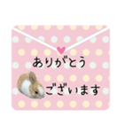 島のうさぎ（個別スタンプ：18）