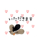 島のうさぎ（個別スタンプ：21）