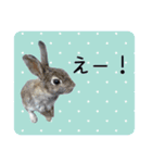 島のうさぎ（個別スタンプ：28）