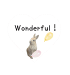 島のうさぎ（個別スタンプ：35）
