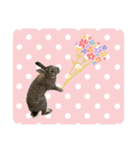 島のうさぎ（個別スタンプ：40）