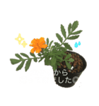2024年6月ばあばのスタンプ（個別スタンプ：2）